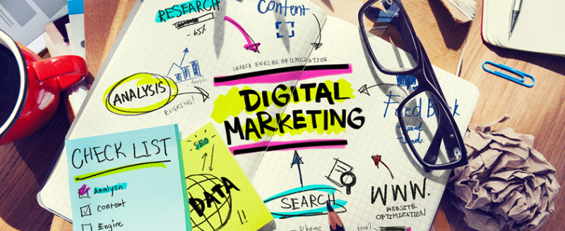 SEO Tips: Is Your Website Animal Proof?