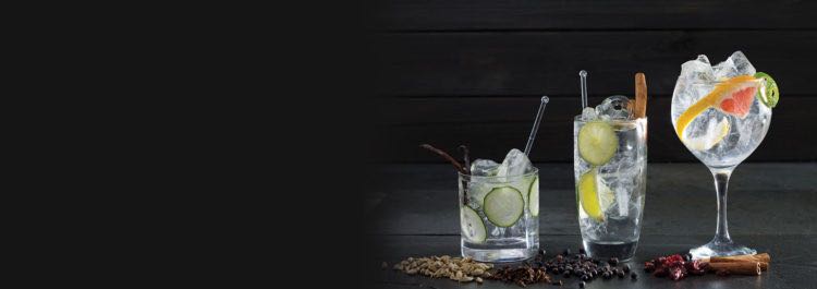 web development company