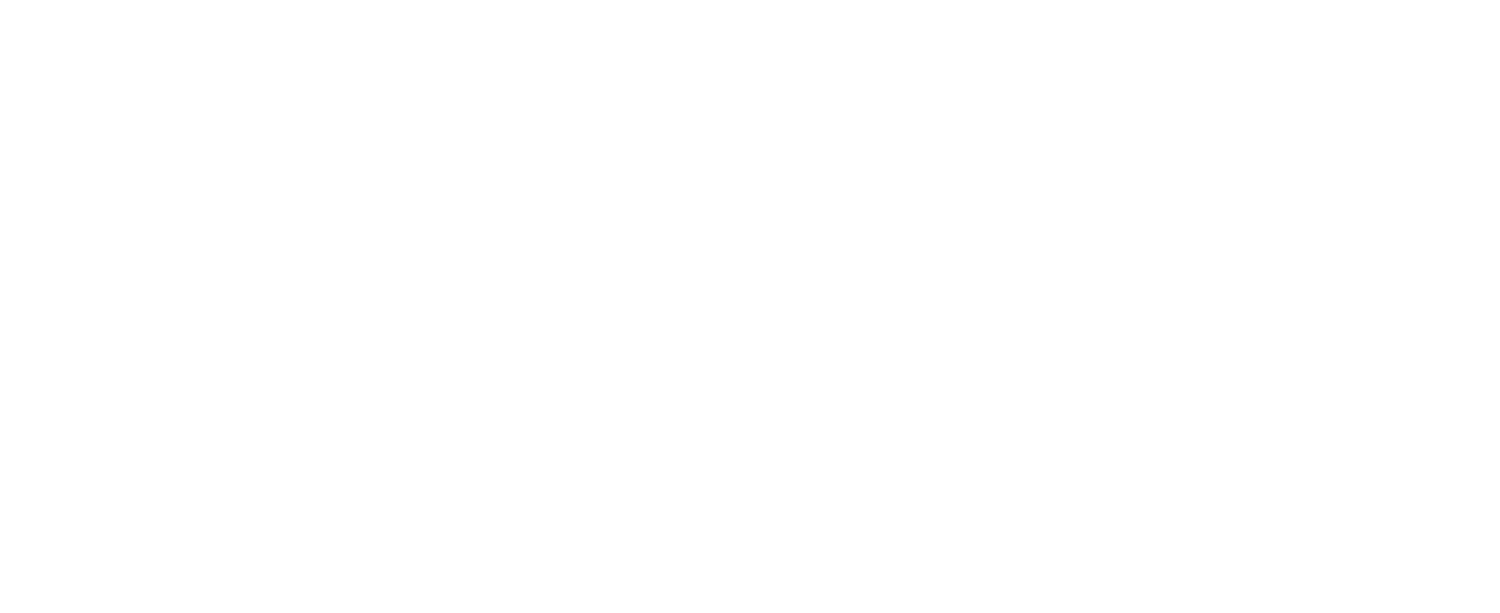 prima building solutions logo